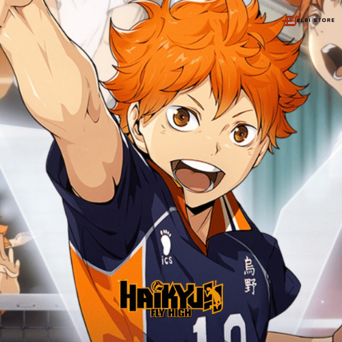 Haikyu Fly High